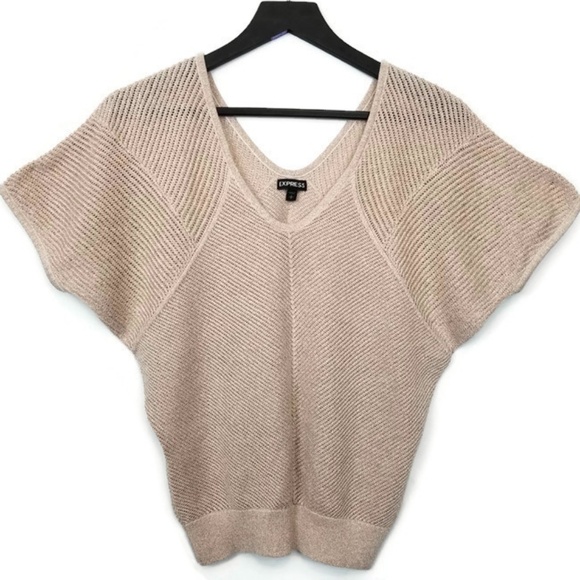 Express Sweaters - Express Metallic Nude Sweater